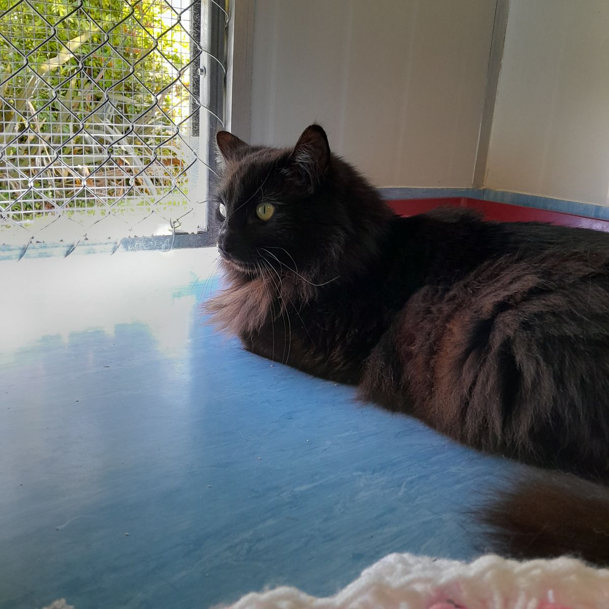 Gallery image: Chester