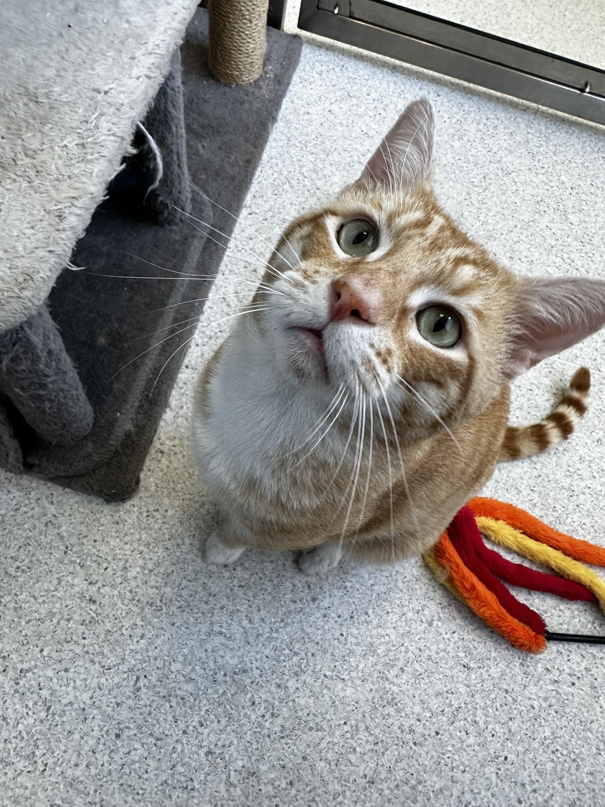 Gallery image: Roger