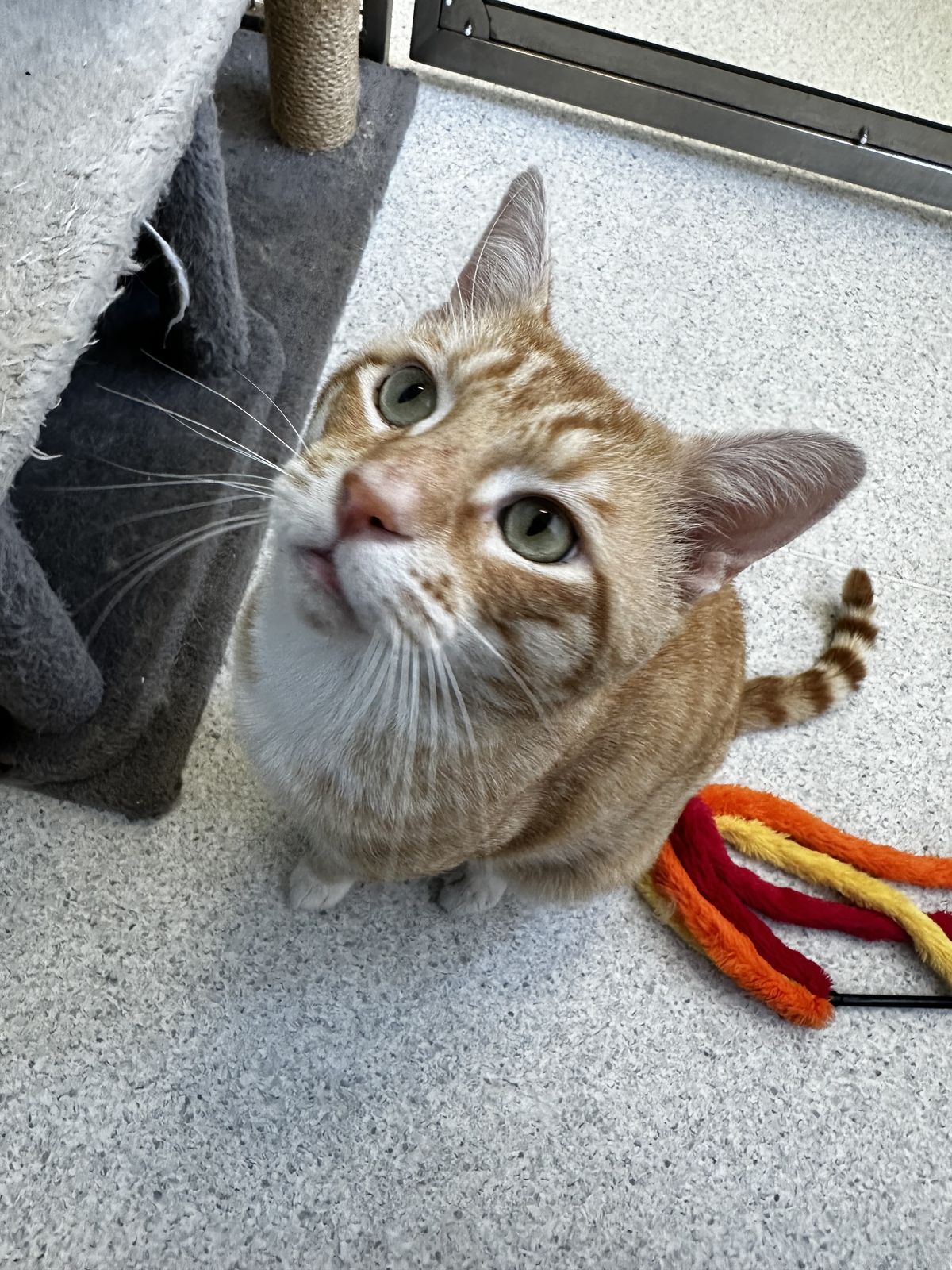 Gallery image: Roger