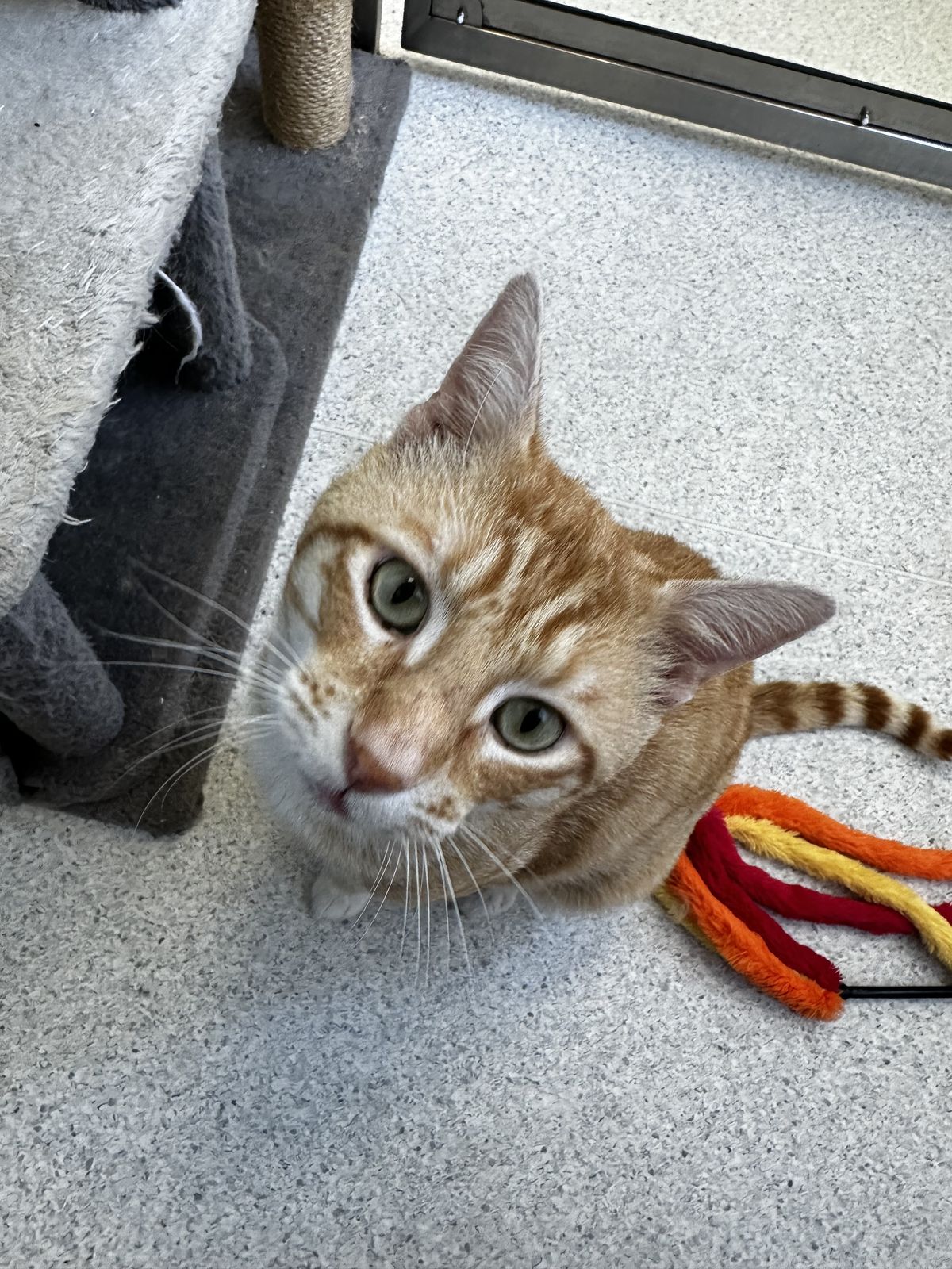 Gallery image: Roger