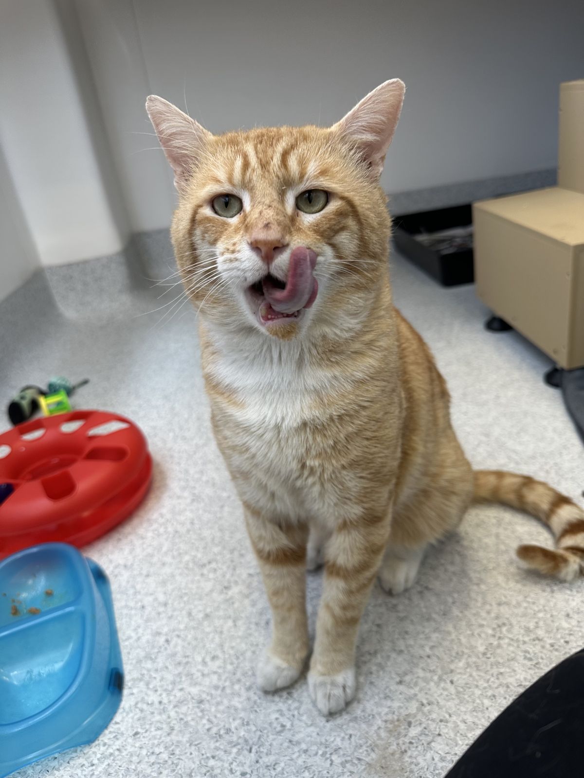 Gallery image: Roger