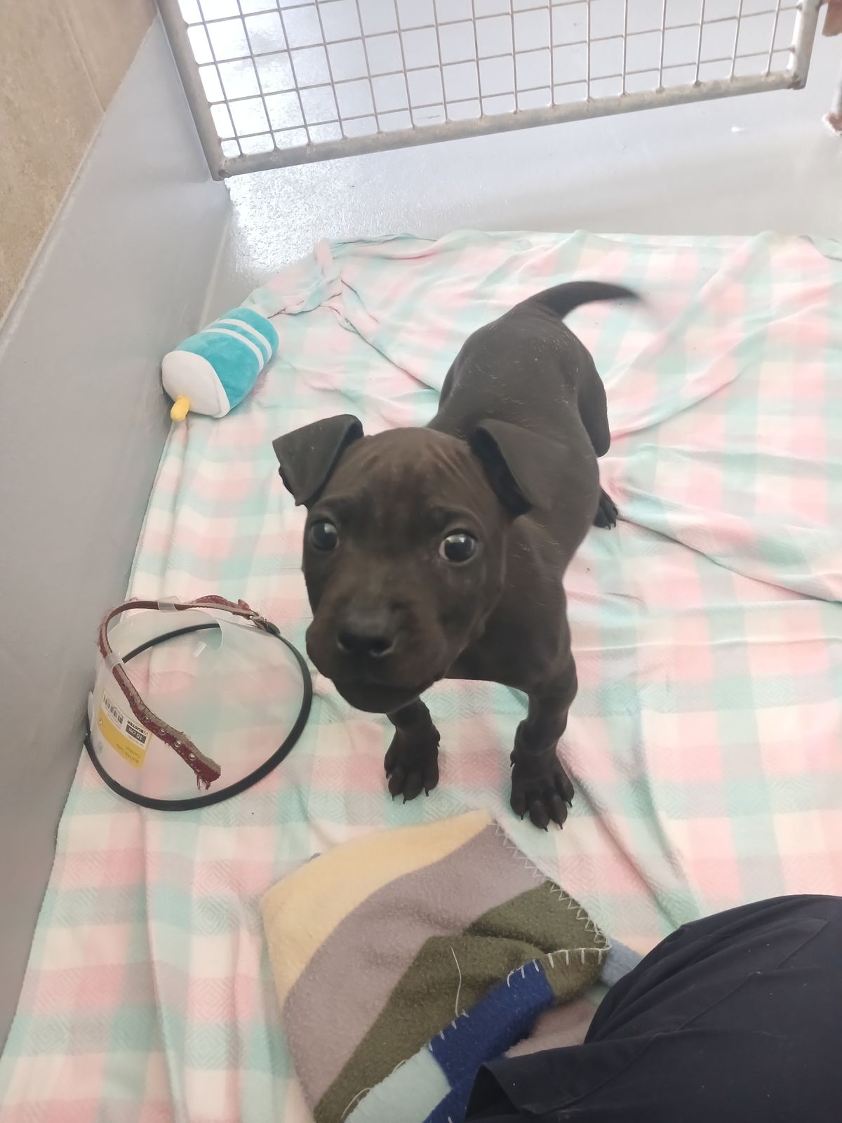 Gallery image: Nolan