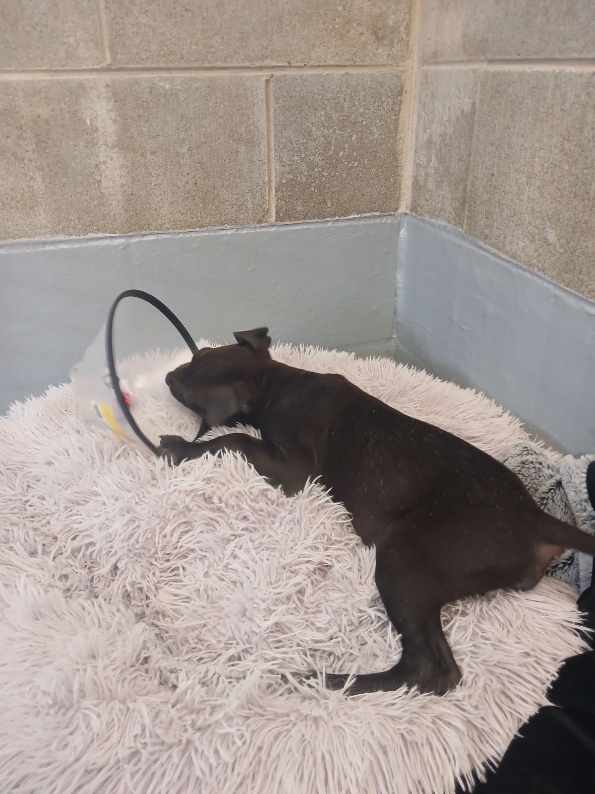 Gallery image: Nolan