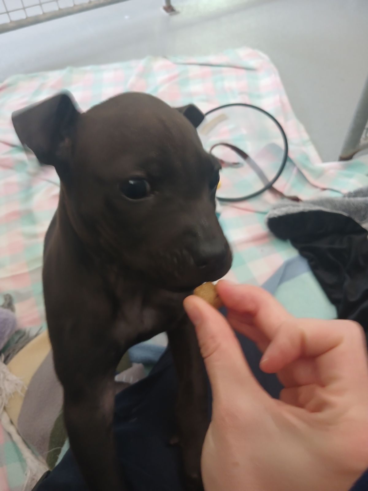 Gallery image: Nolan