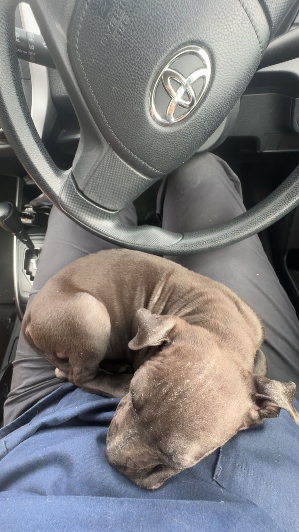 Gallery image: Nolan