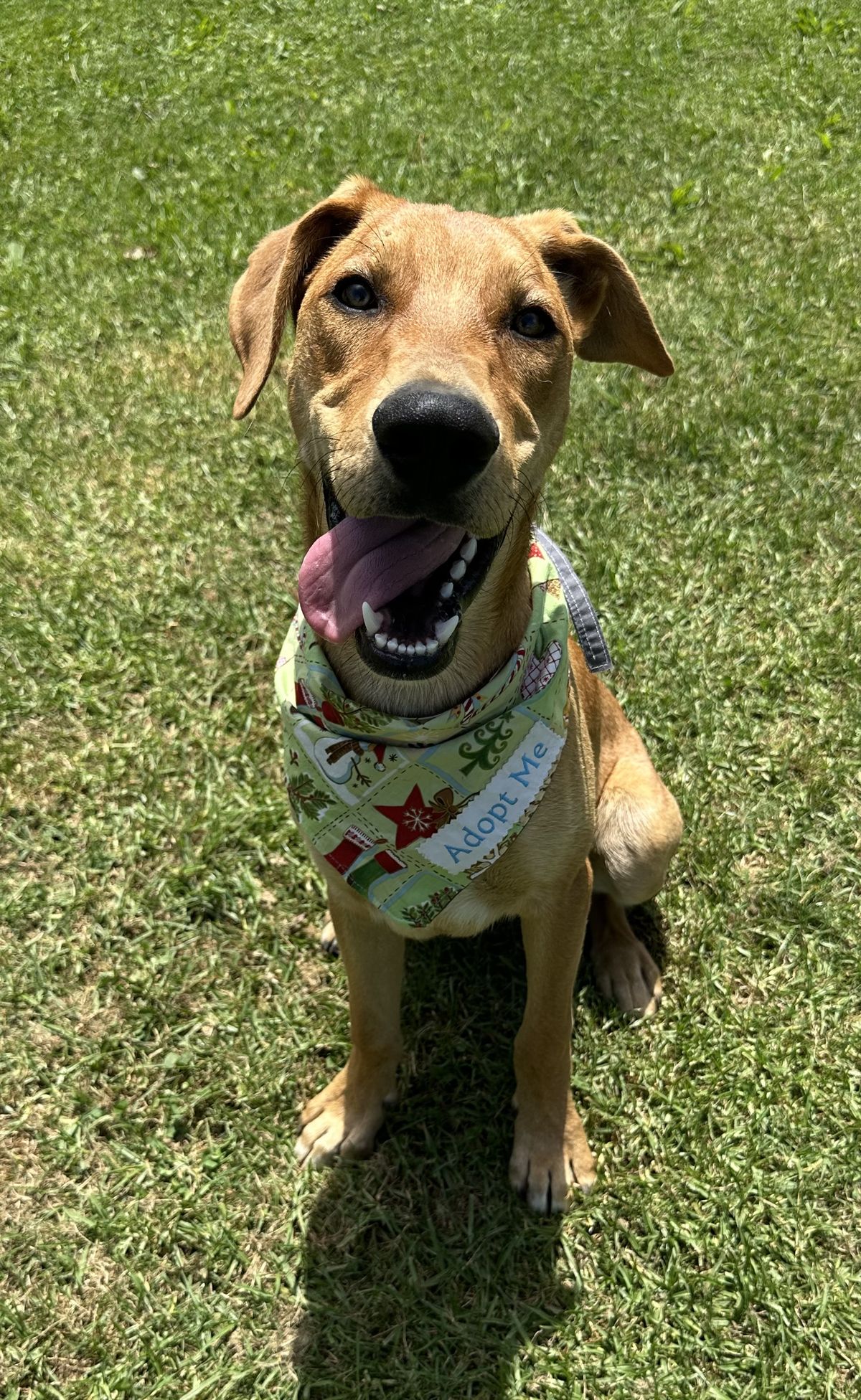 Gallery image: Pretzel