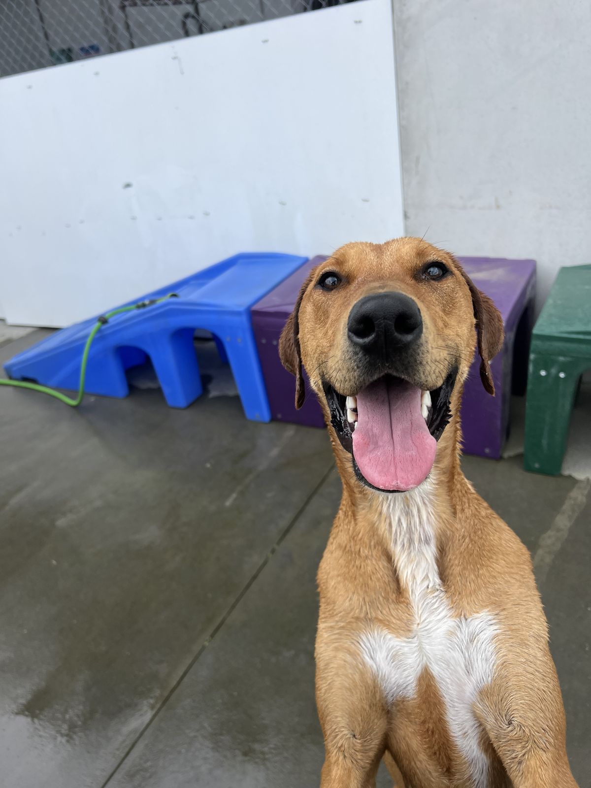 Gallery image: Jitterbug