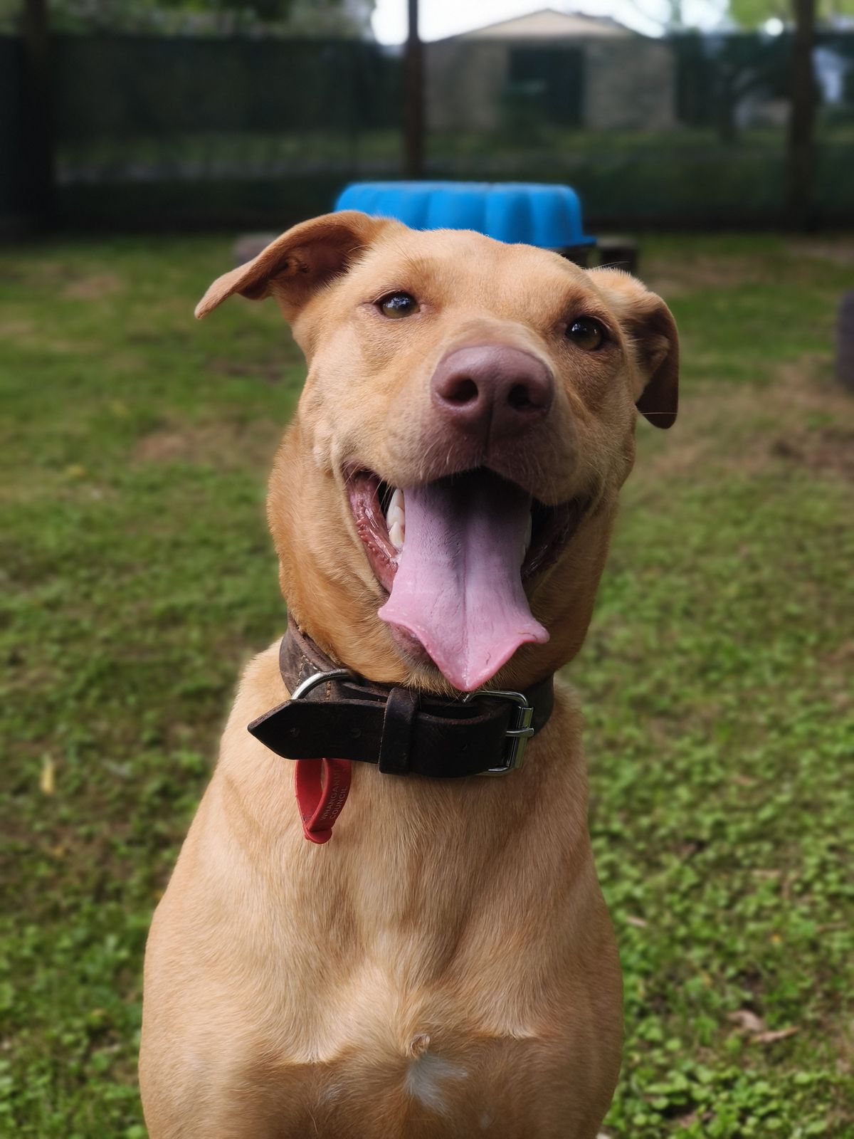 Gallery image: Bella