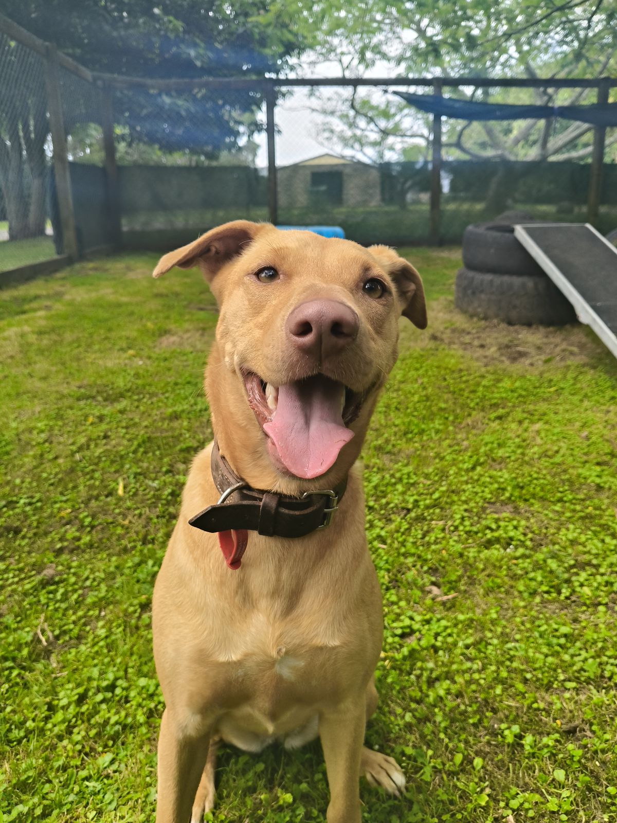 Gallery image: Bella