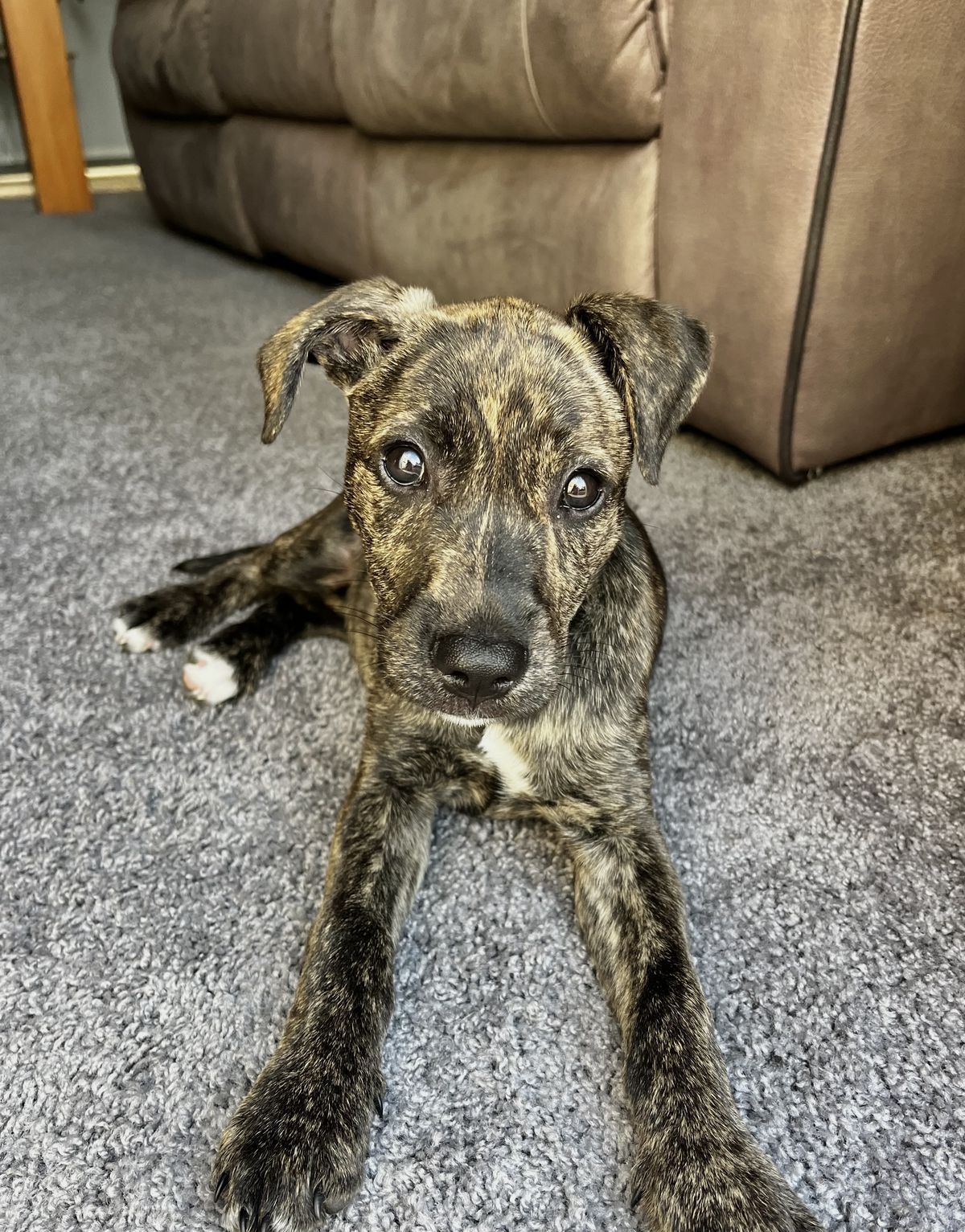 Gallery image: Winnie