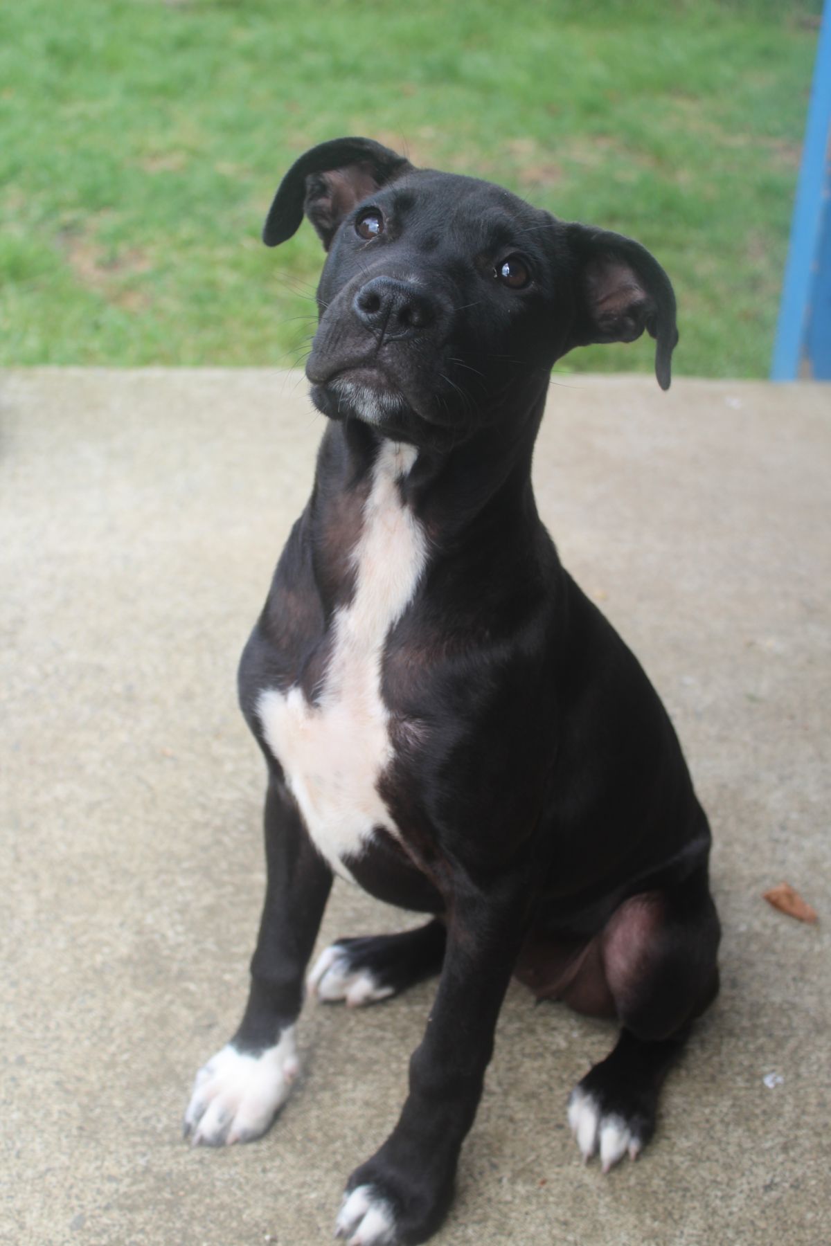 Gallery image: Bella