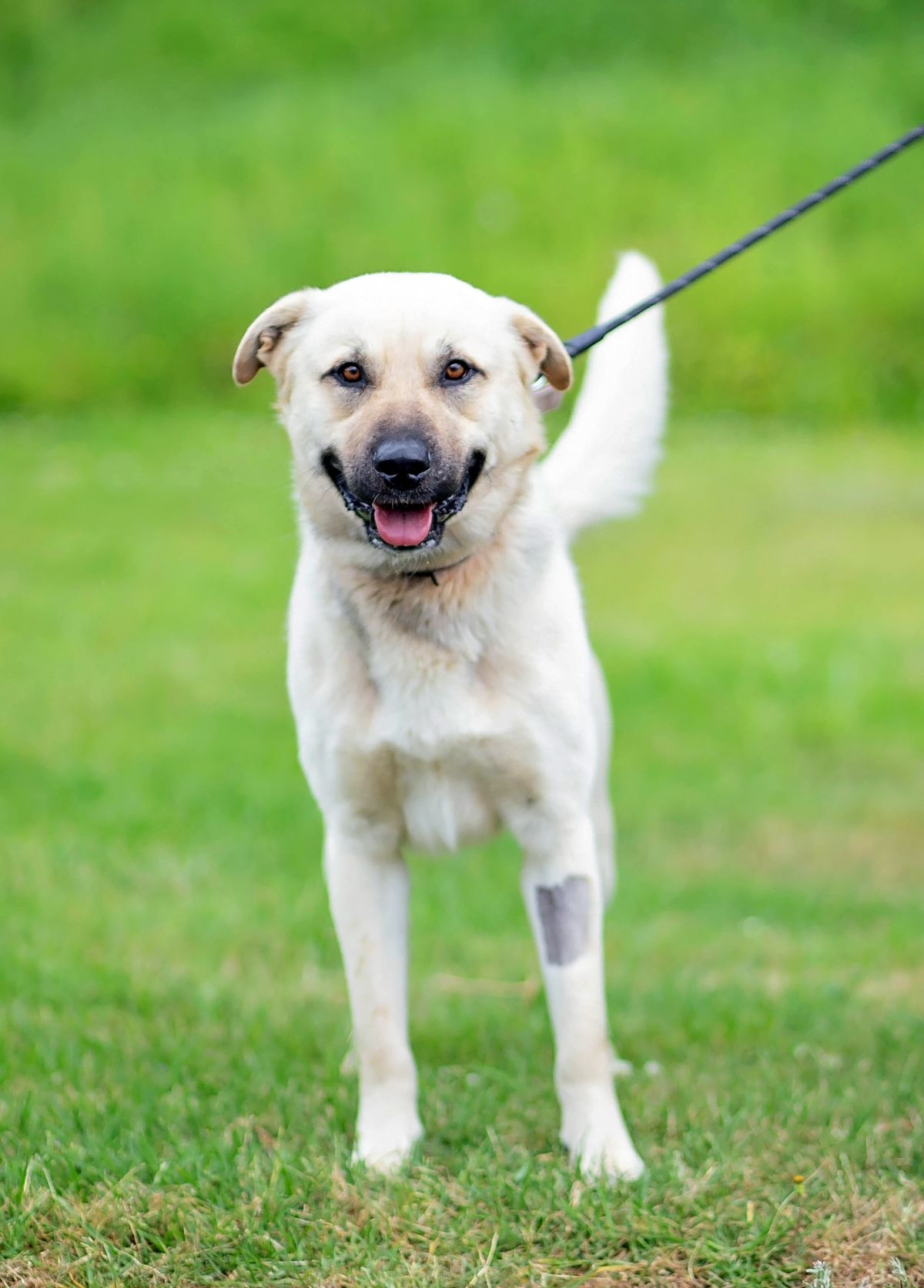 Gallery image: Sunny 