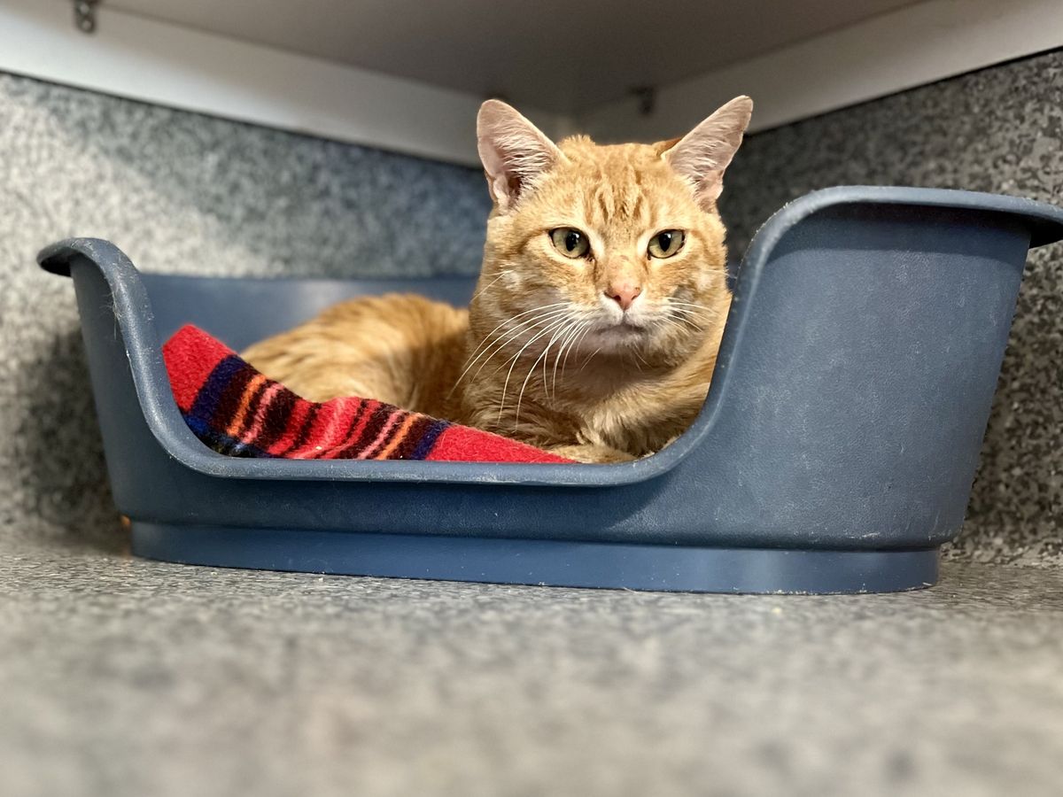 Gallery image: Willie