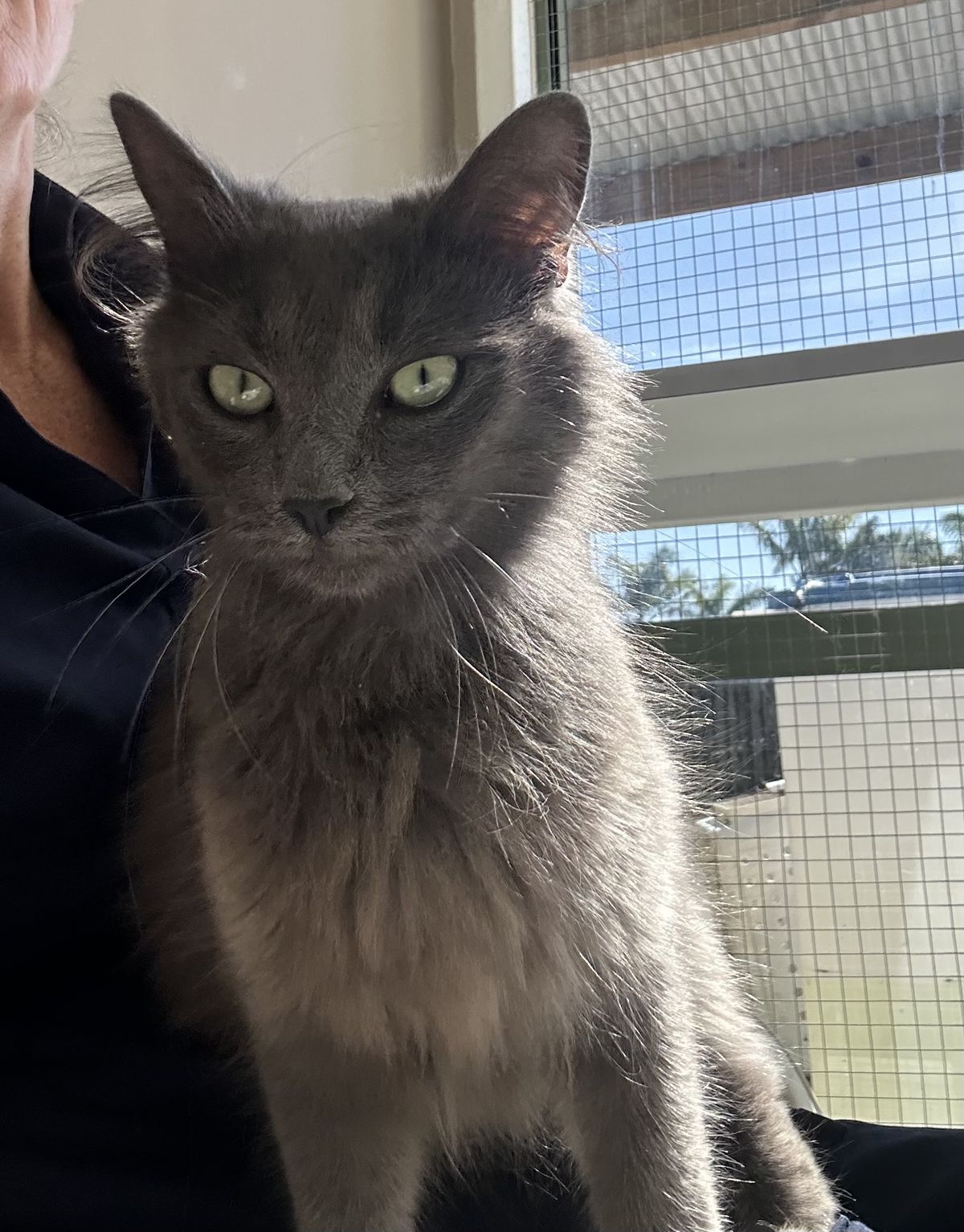 Gallery image: Rosie