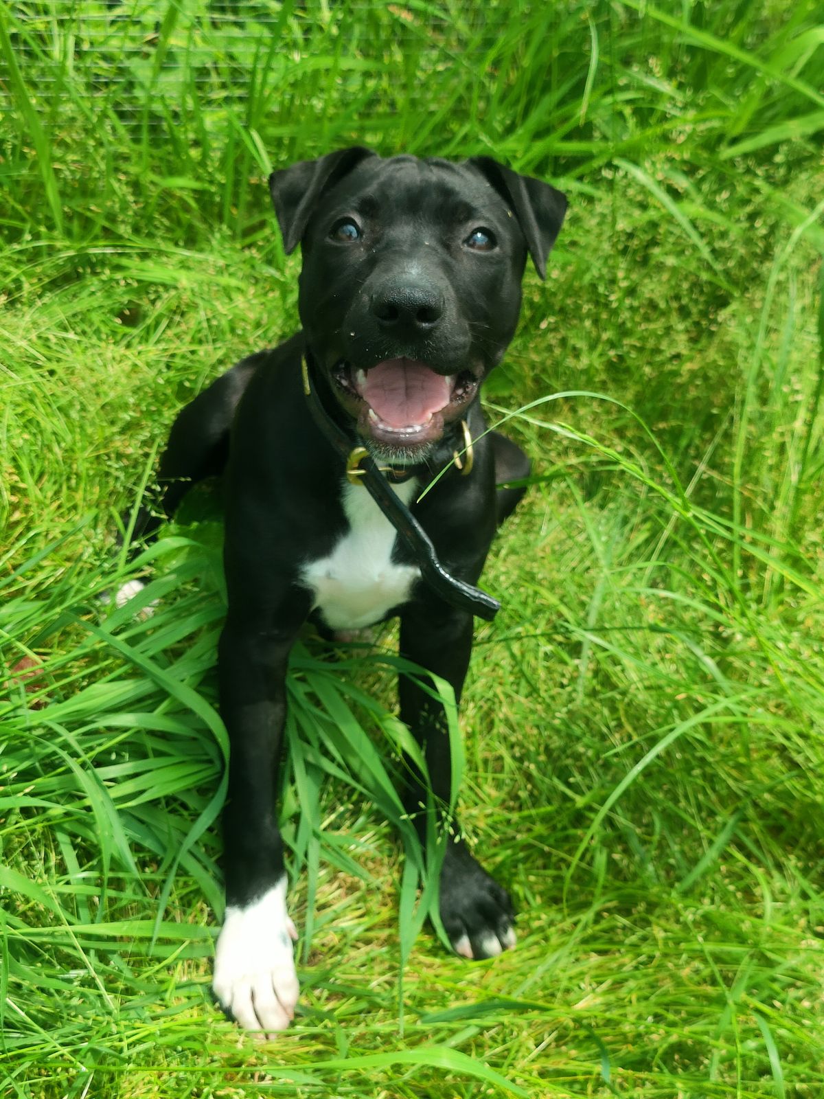 Gallery image: Winnie