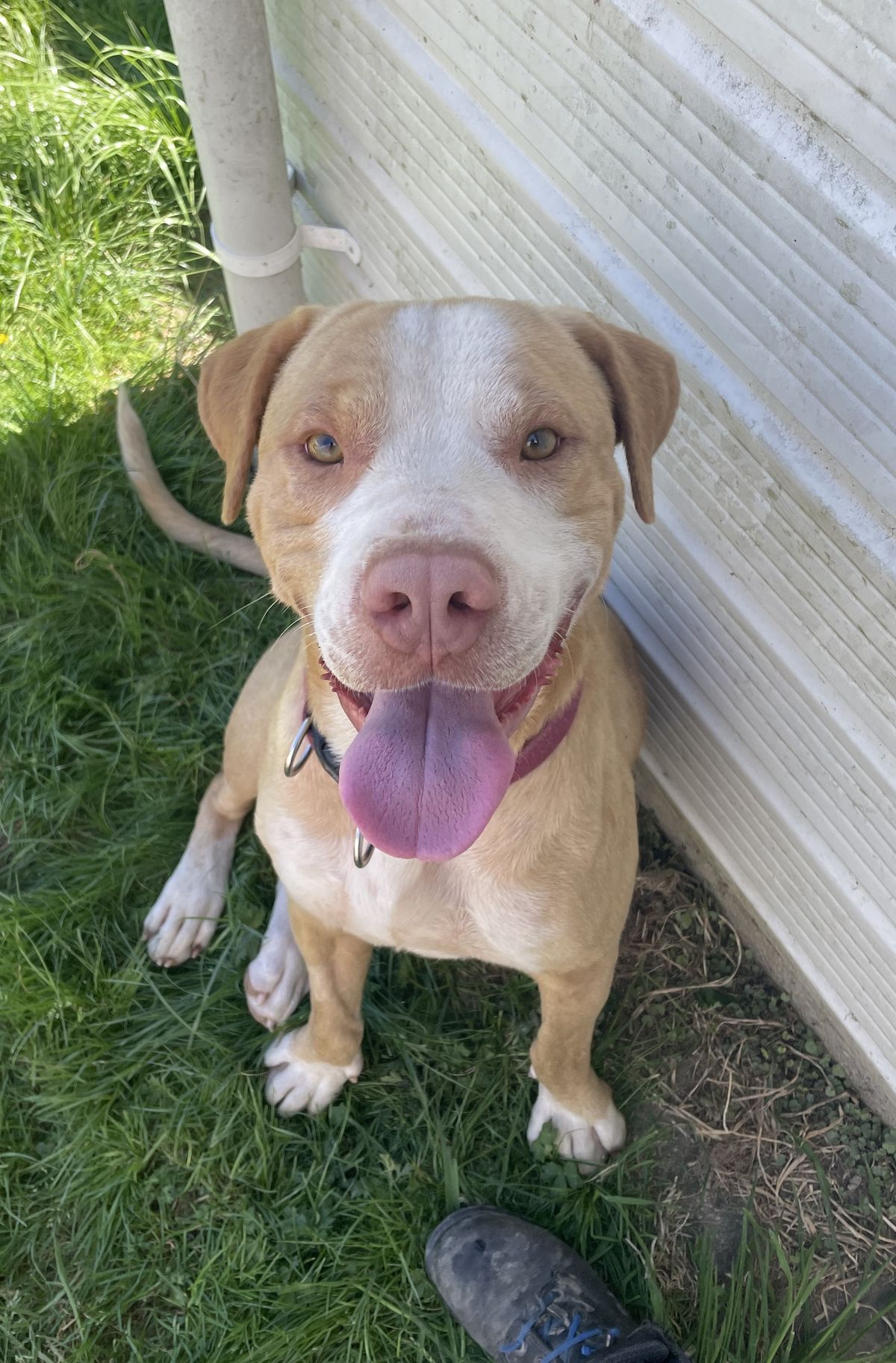 Gallery image: Sonny