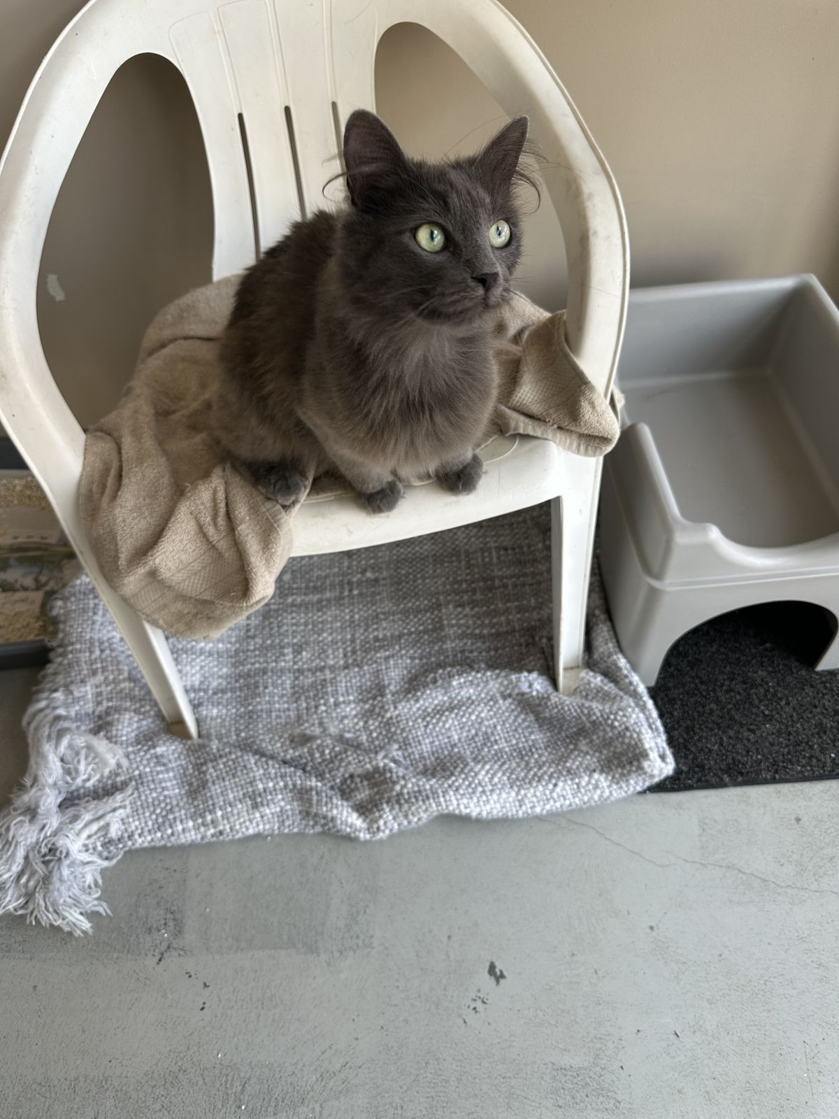 Gallery image: Rosie