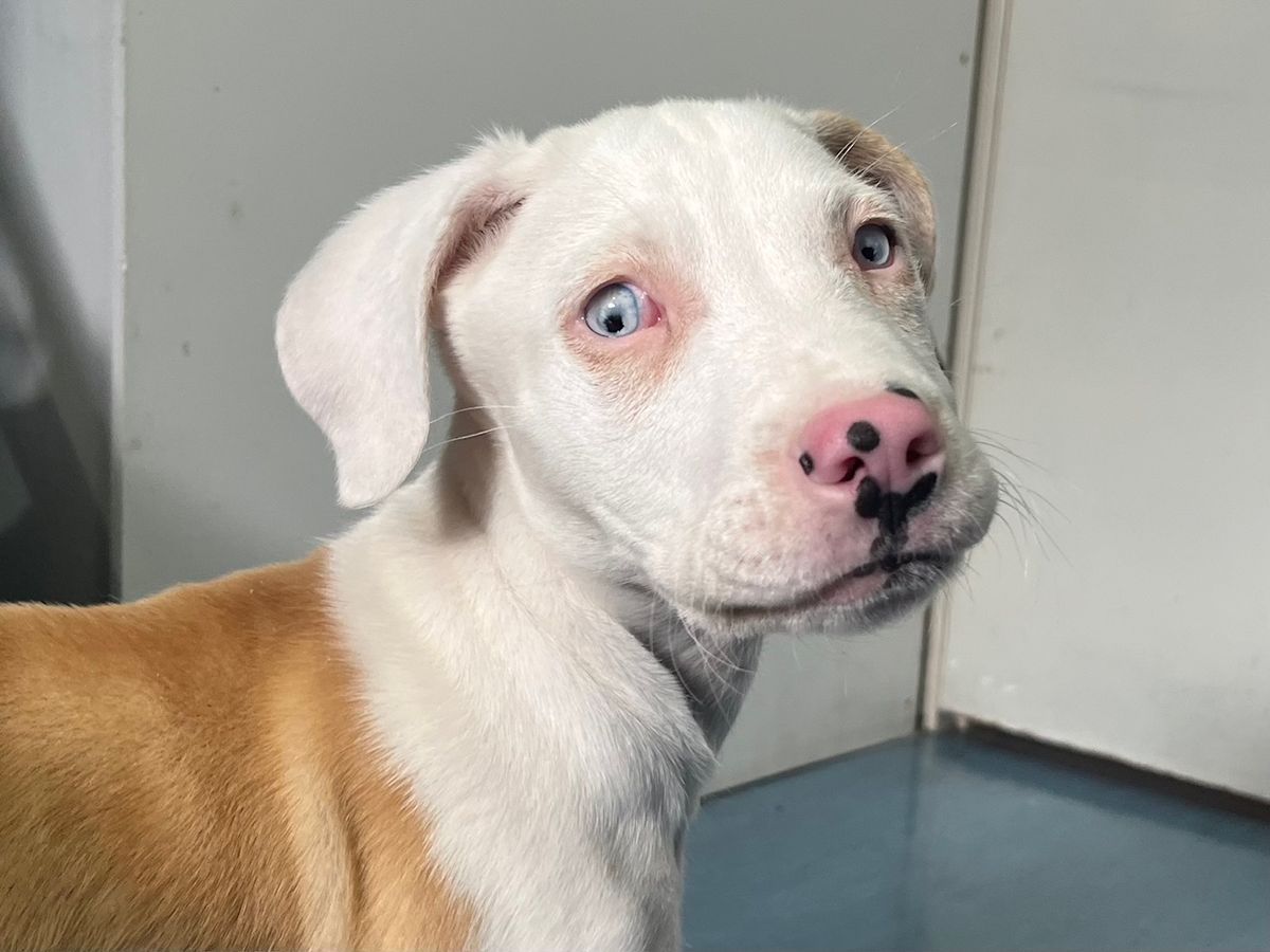 Gallery image: Albie