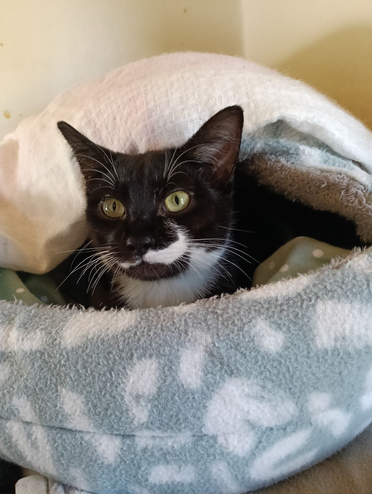 Gallery image: Gavin