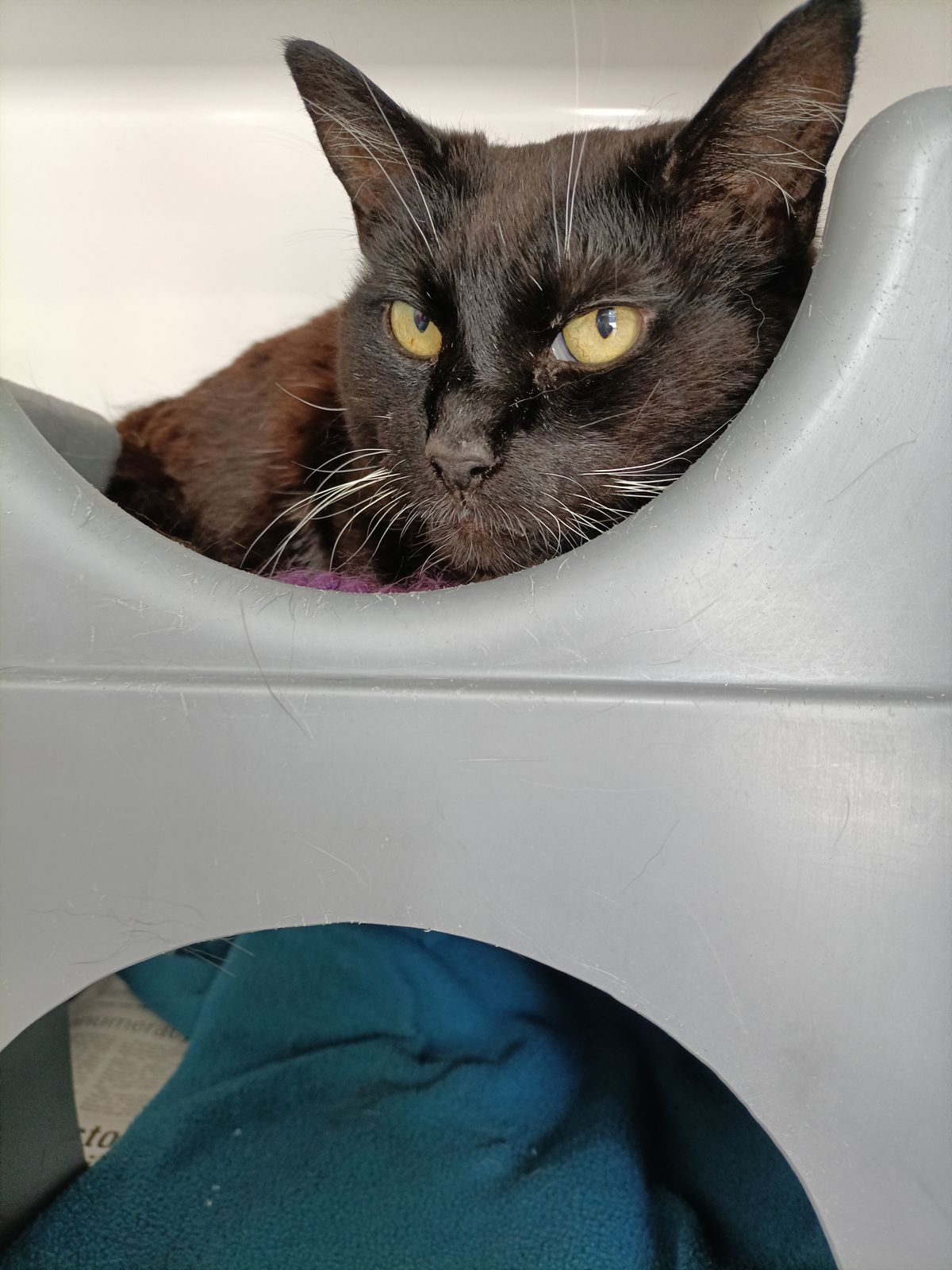 Gallery image: Sabrina