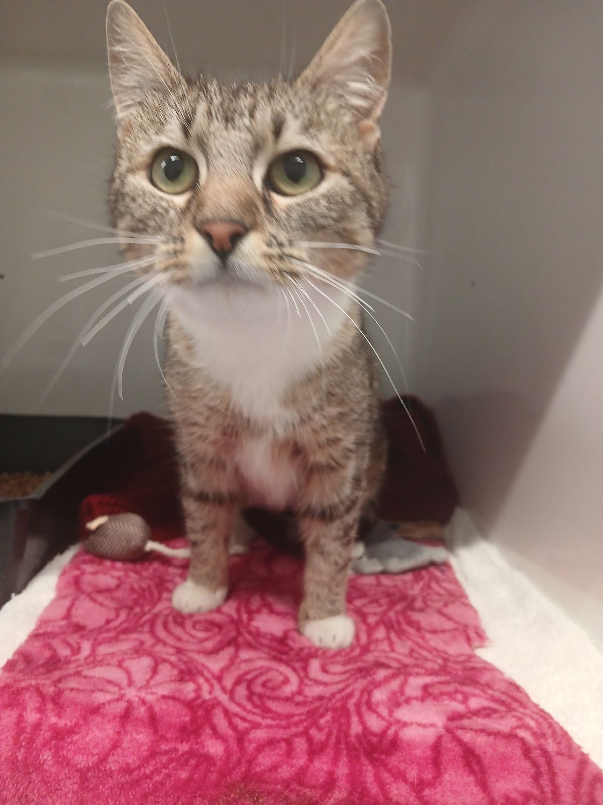 Gallery image: Aquarius