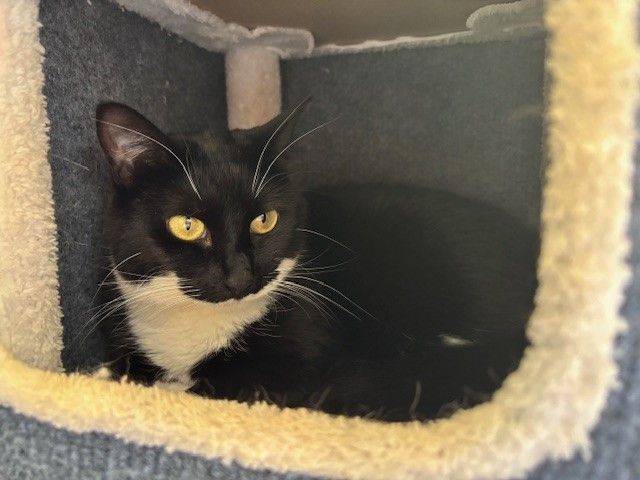 Gallery image: Beetroot