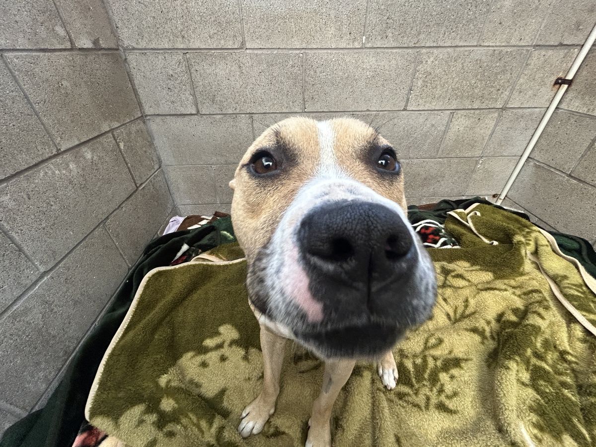 Gallery image: Harley