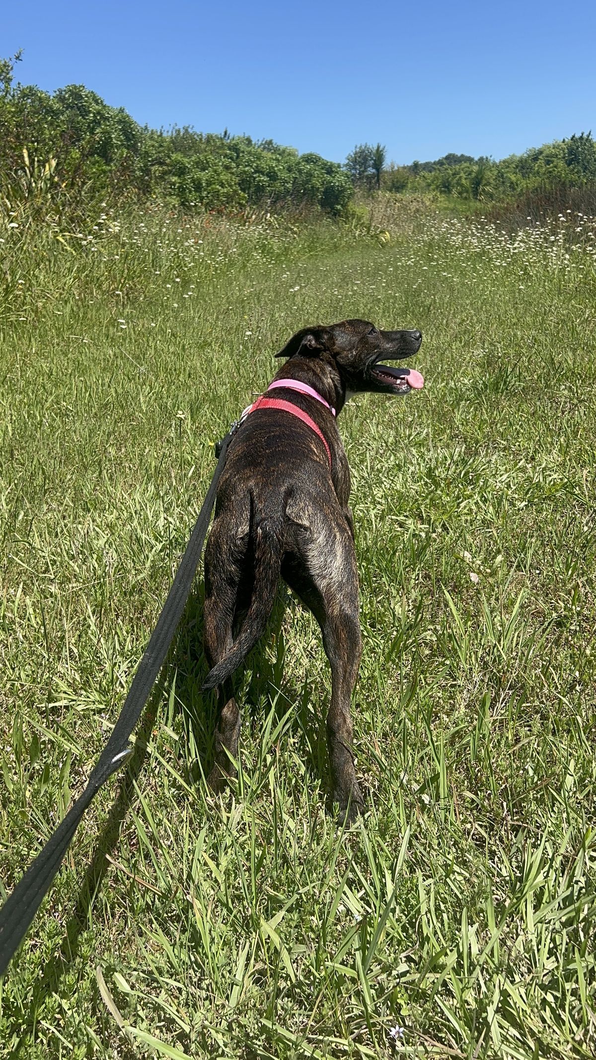 Gallery image: Chutney