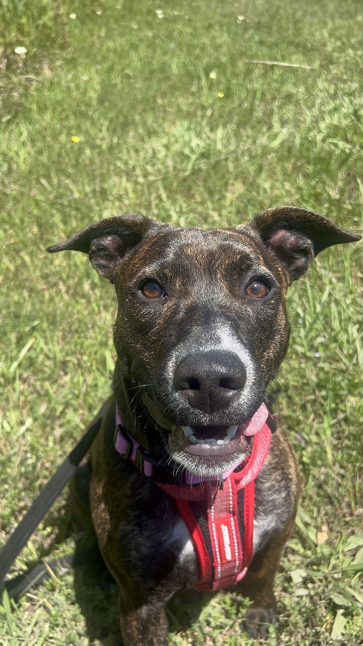 Gallery image: Chutney