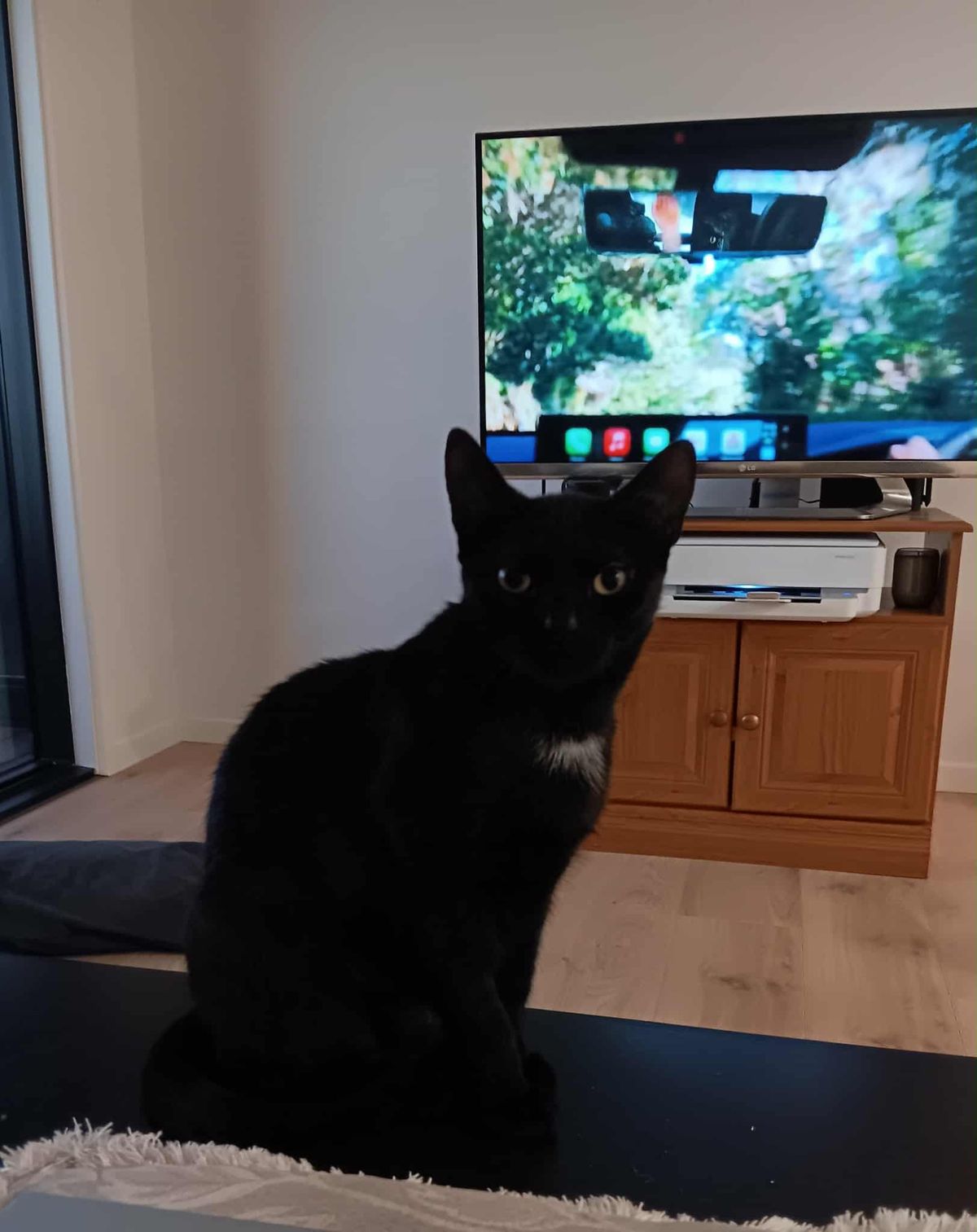 Gallery image: Sophie