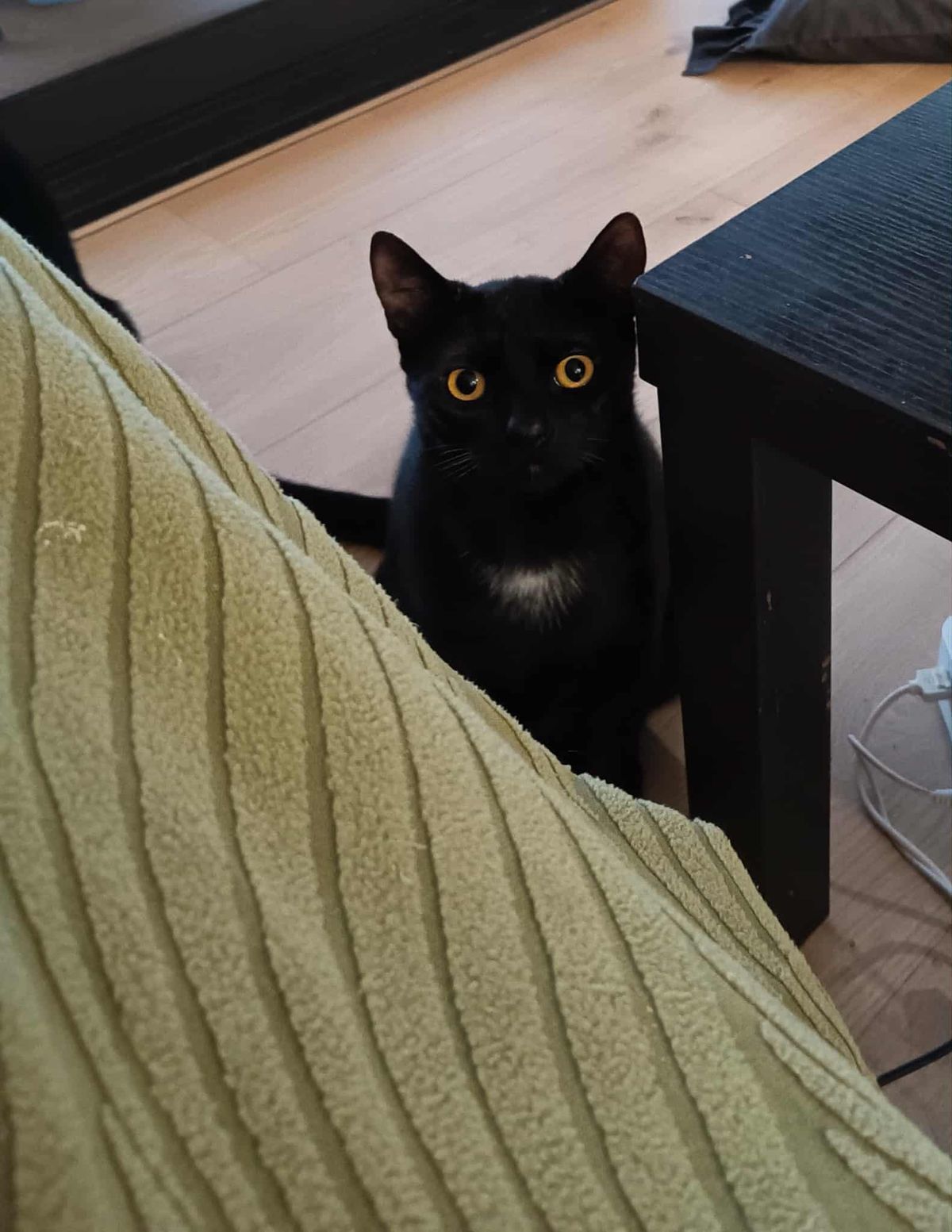 Gallery image: Sophie