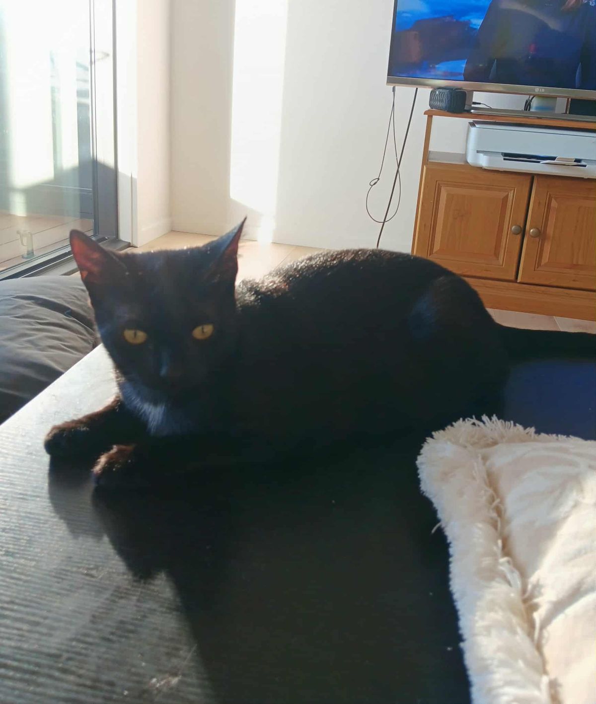 Gallery image: Amelia