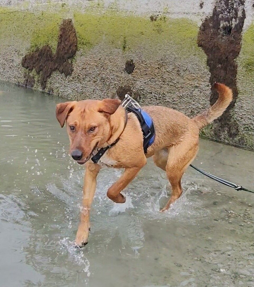 Gallery image: Sae-Dee