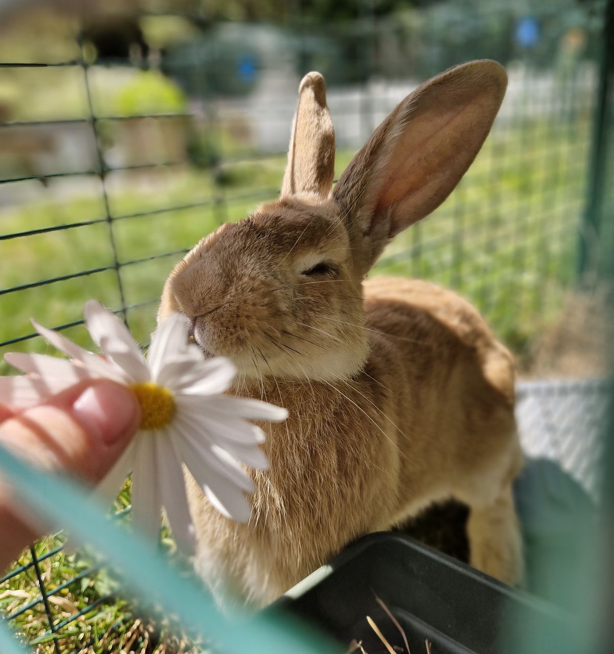 Gallery image: Cyclops