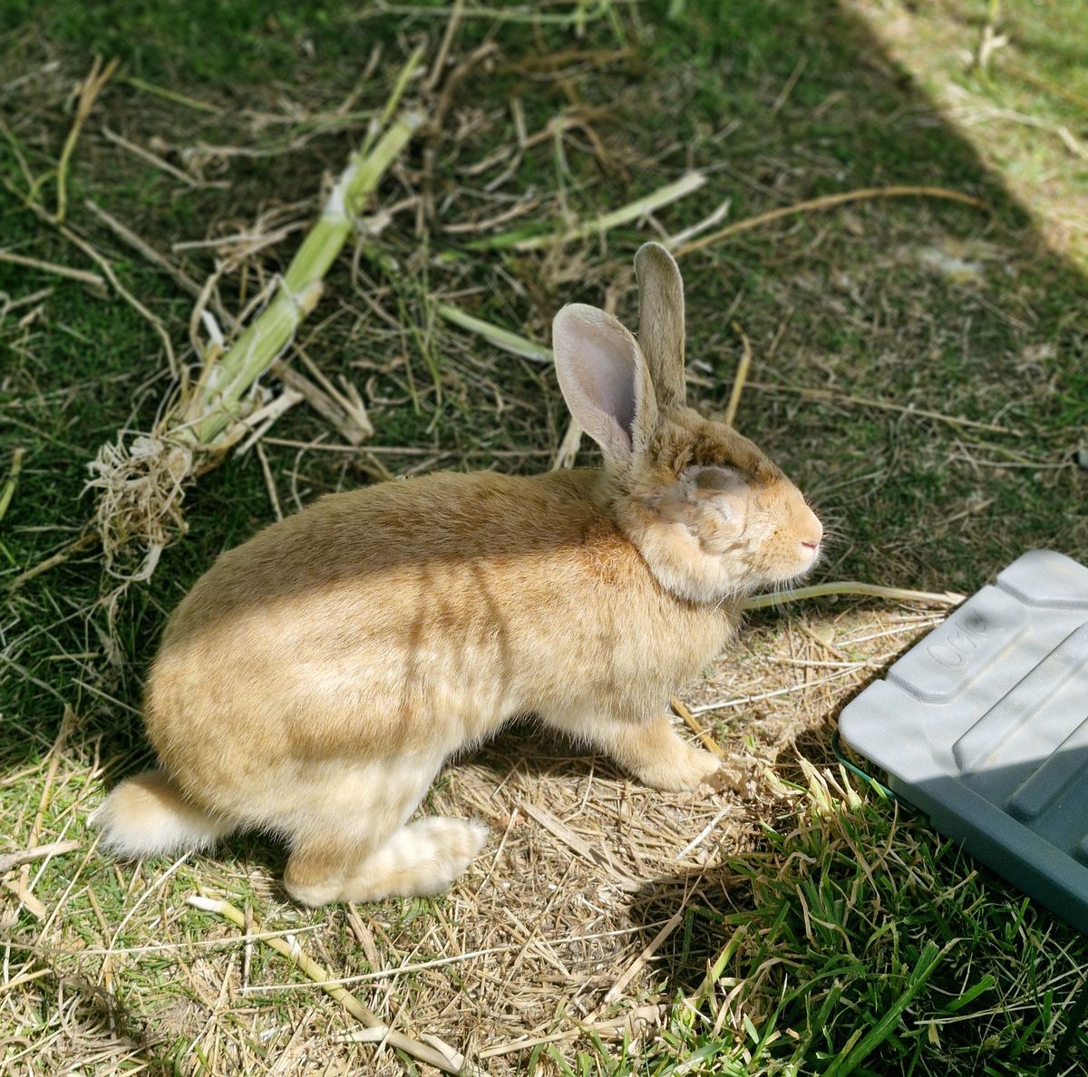 Gallery image: Cyclops