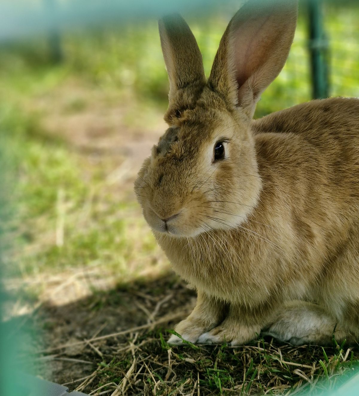 Gallery image: Cyclops