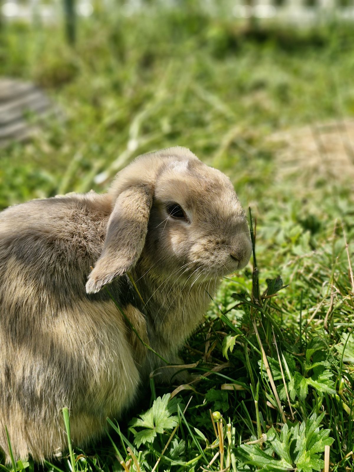 Gallery image: Thunder