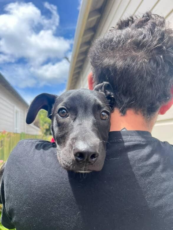 Gallery image: Pepper