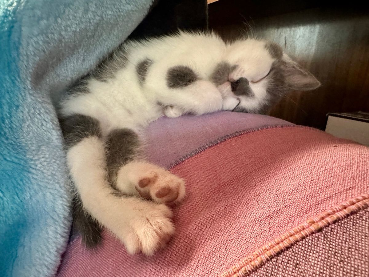 Gallery image: Spring