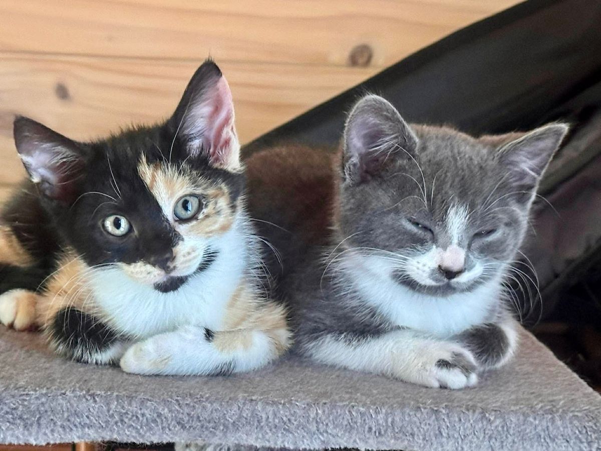 Gallery image: Autumn