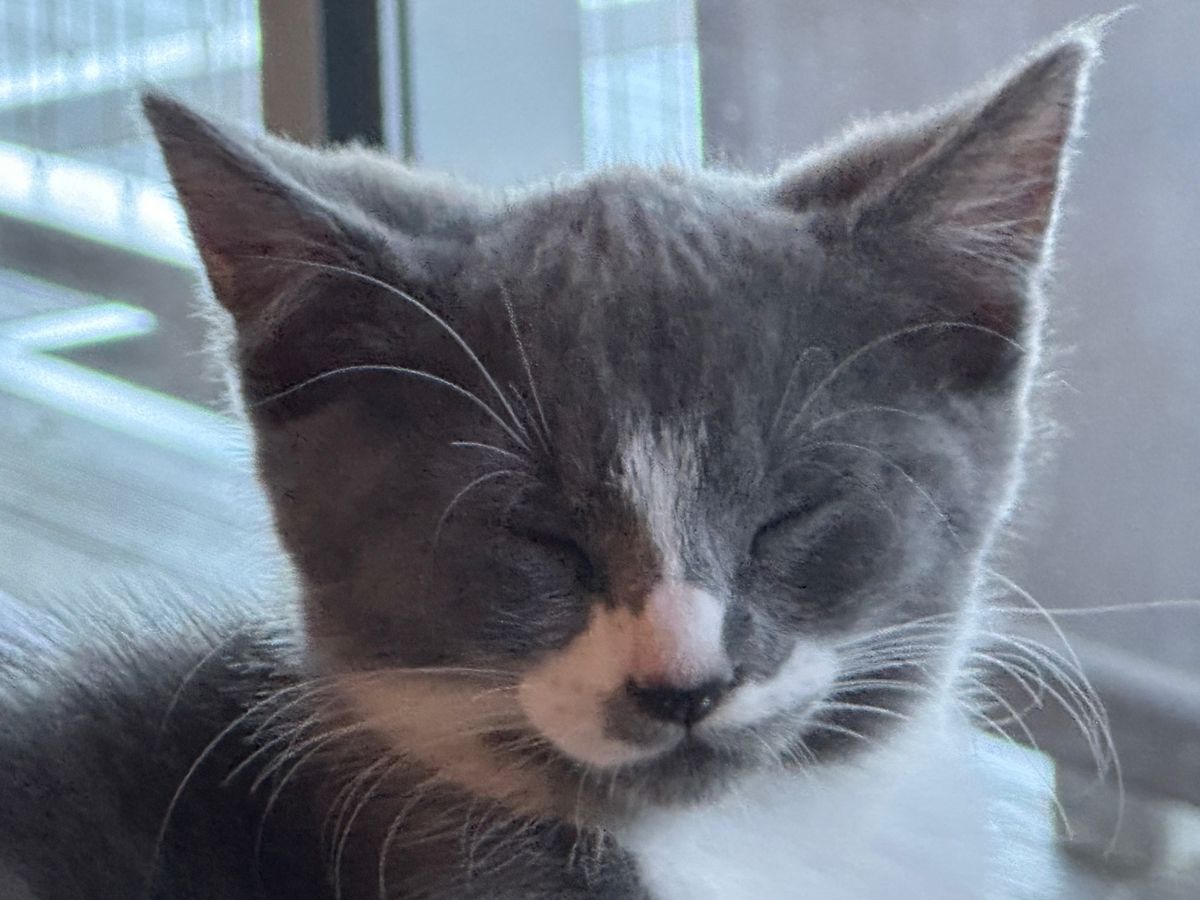 Gallery image: Winter