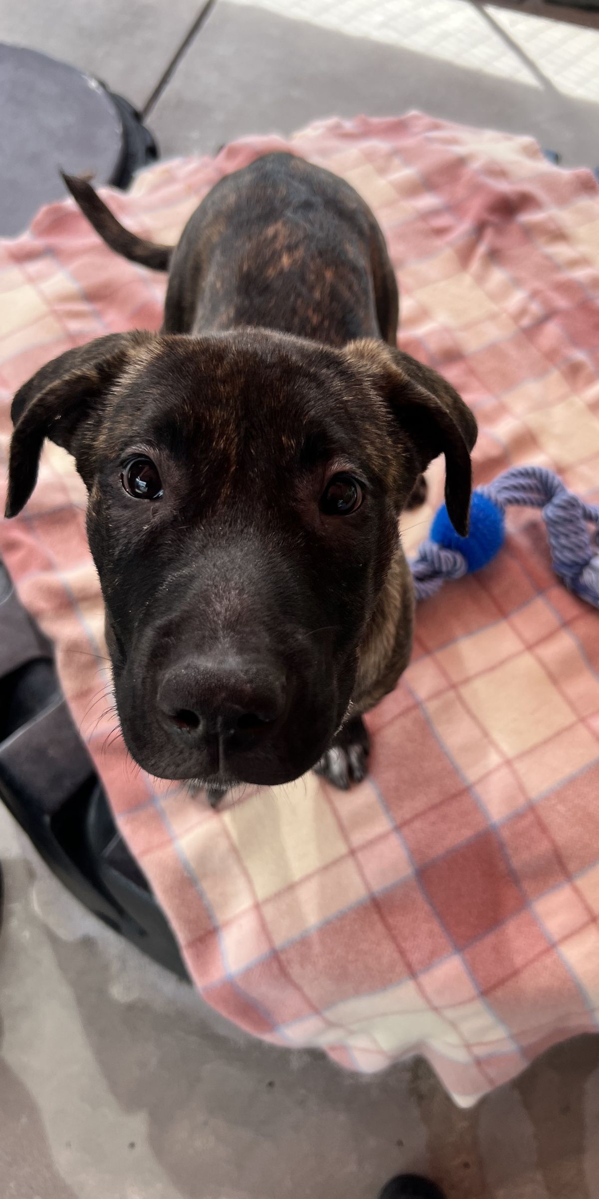 Gallery image: Frosty