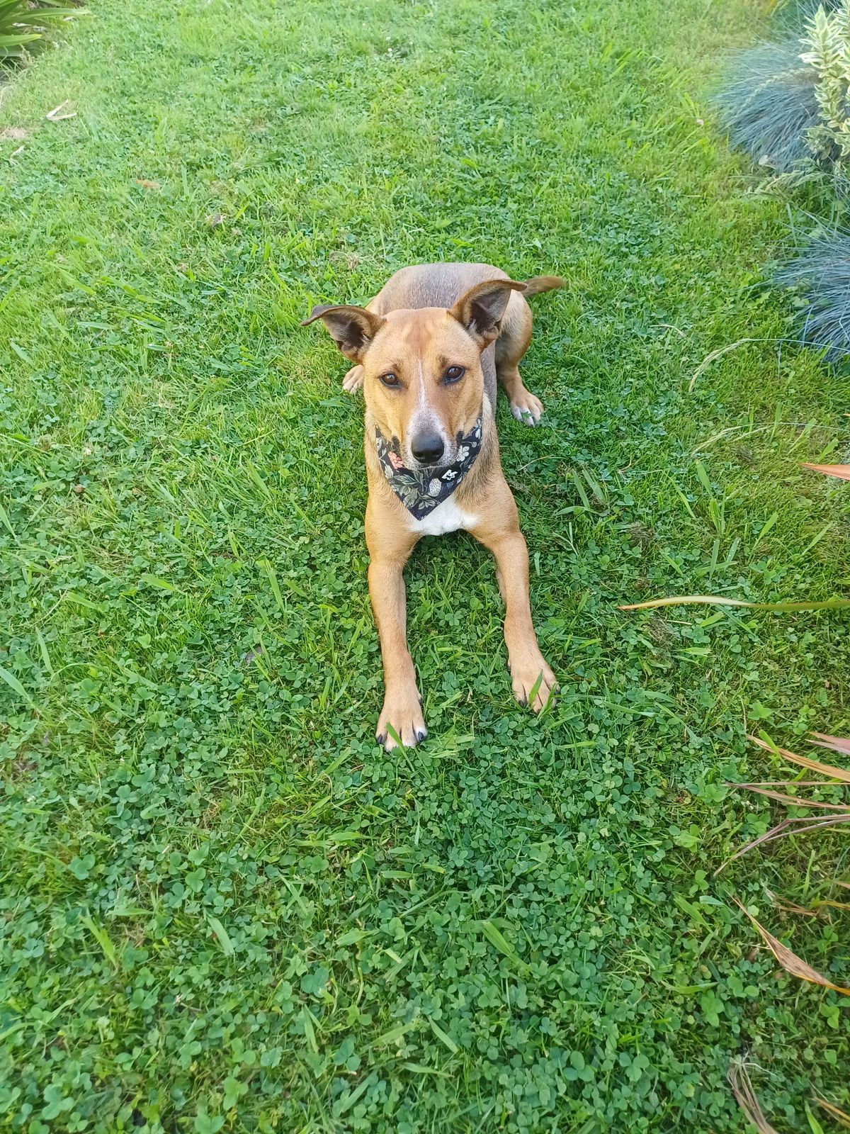 Gallery image: Tilly