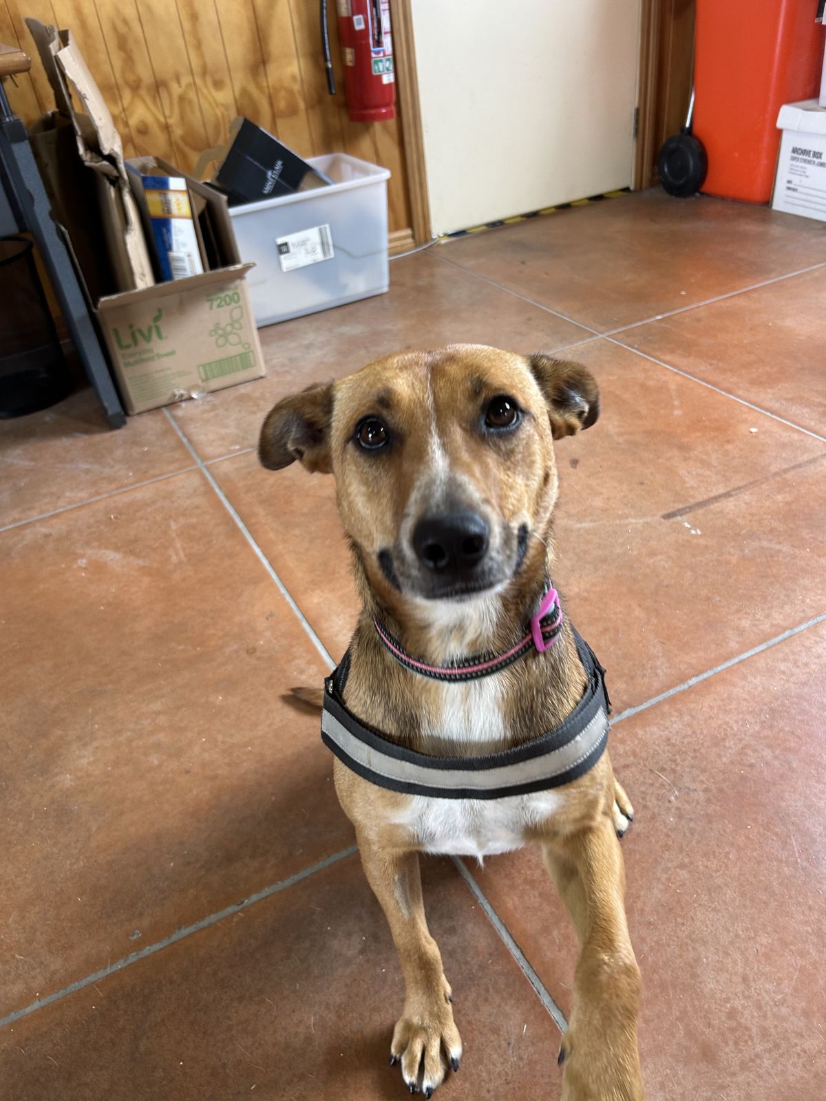 Gallery image: Tilly