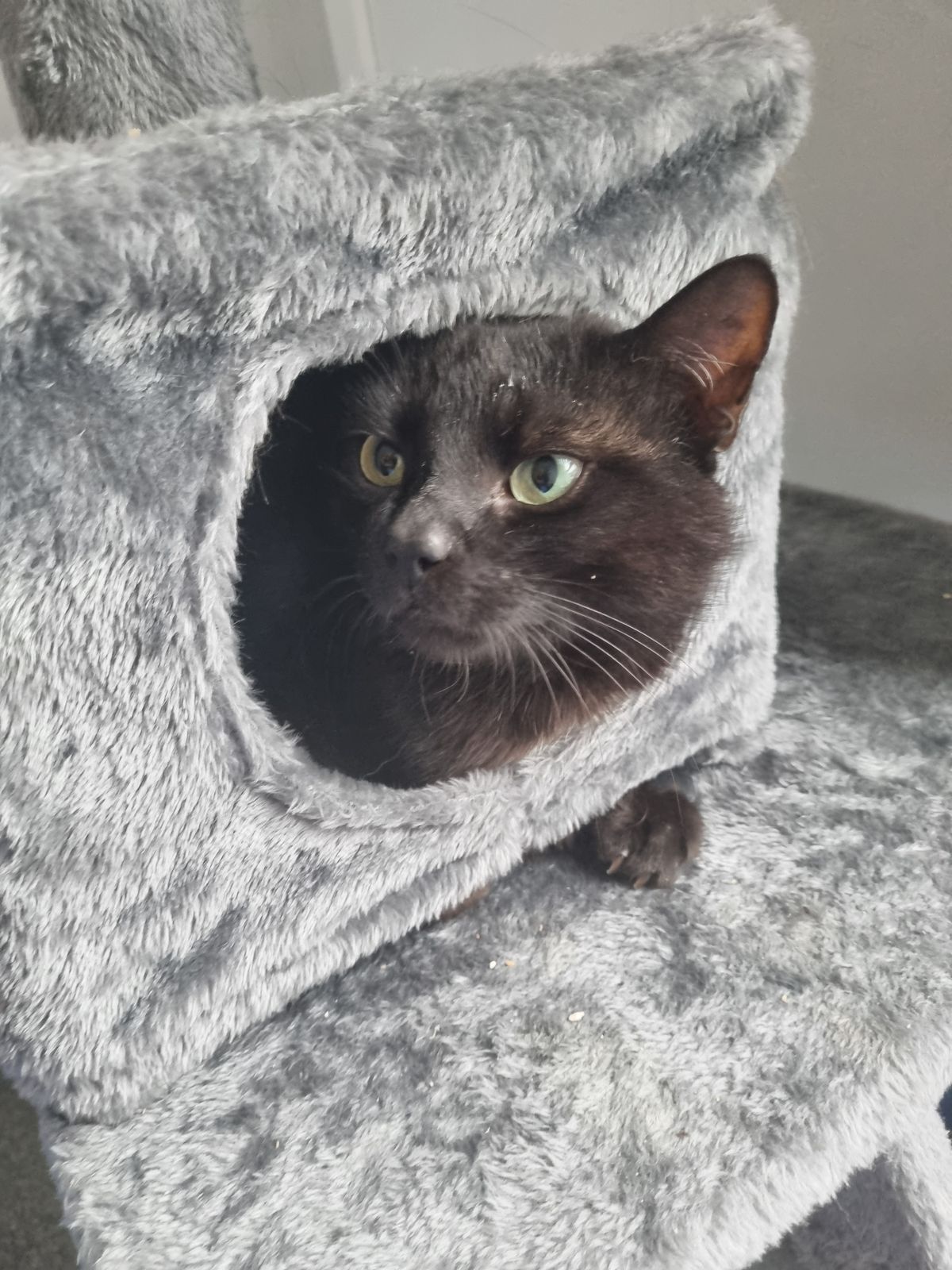 Gallery image: George Clooney