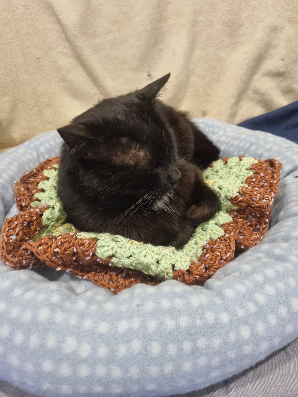 Gallery image: George Clooney