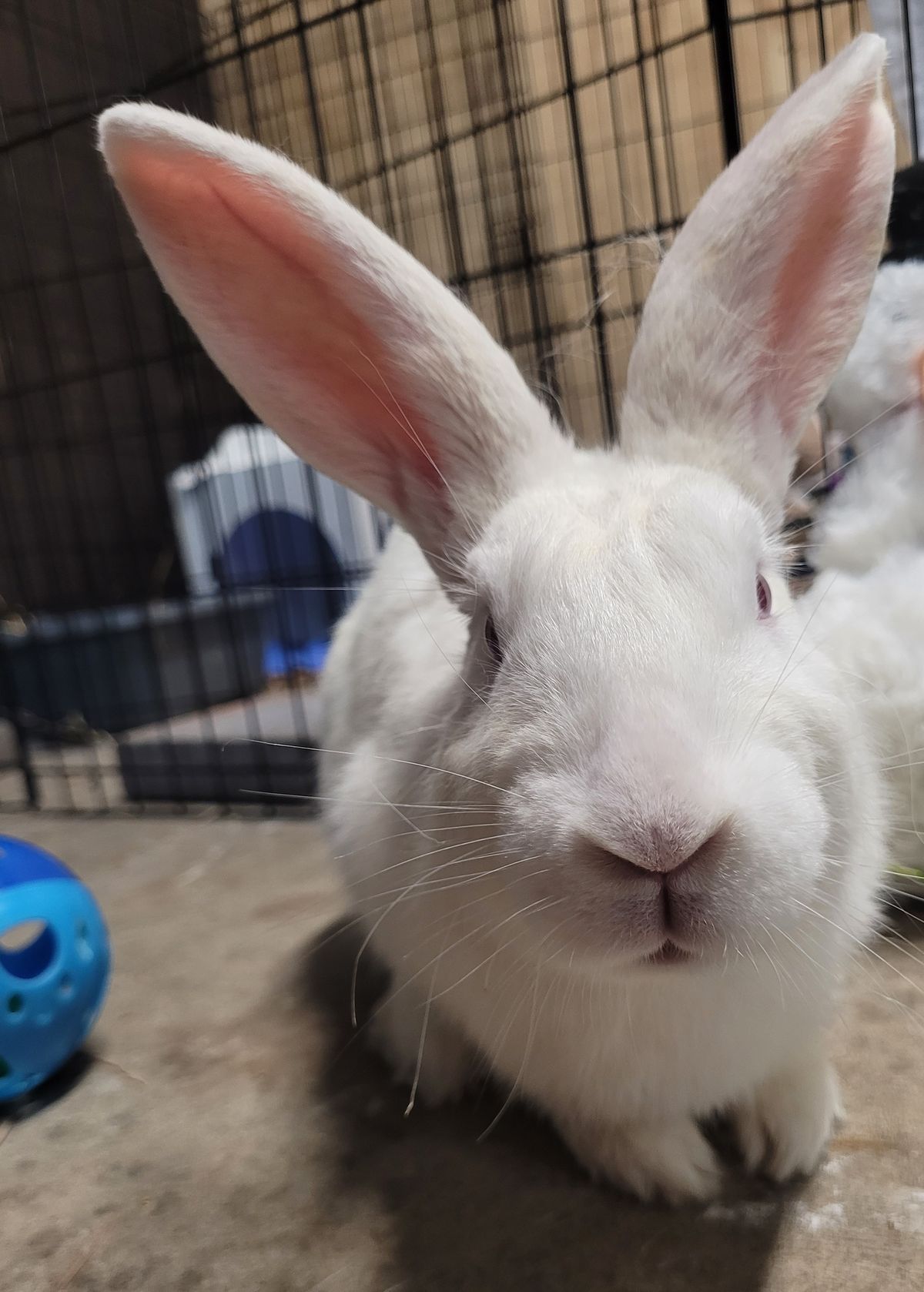 Gallery image: Serenity