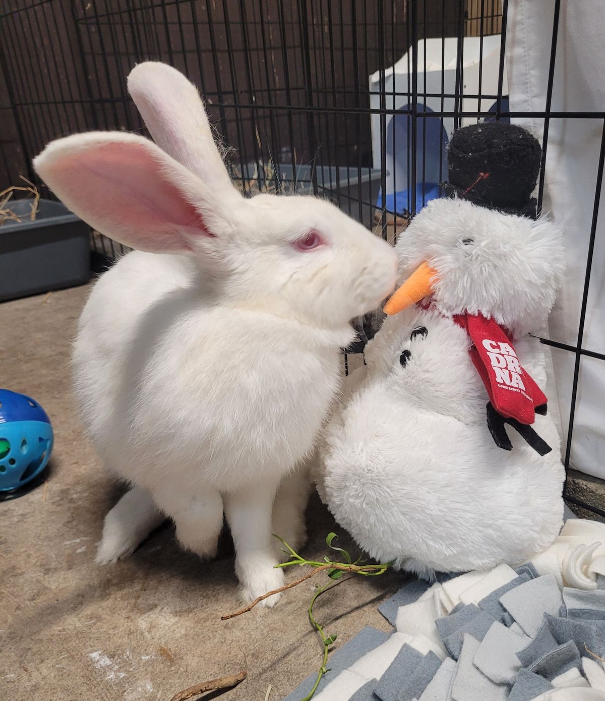 Gallery image: Serenity