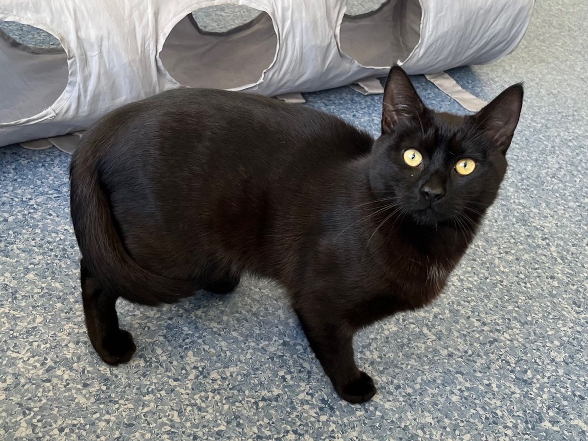 Gallery image: Julian