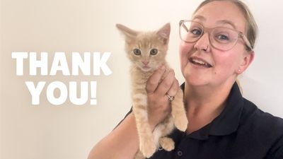 Thank you for making 2025 a year of hope and healing for animals in need 